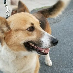 Meet your Posher, Marie ann